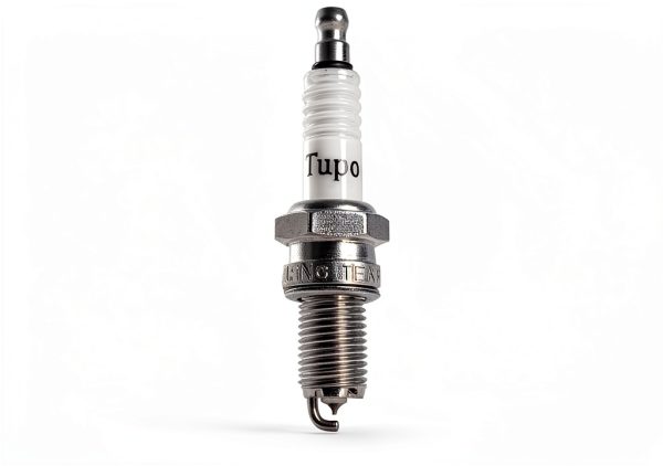 Tupo Recon 250 Cylinder Kit Polished Aluminum-1