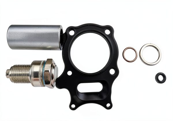 GXYWADY Honda 250 Engine Kit Recon Sportrax TRX250X – GXYWF8-031484-4